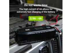 Green Cell Inteligente Caricabatterie Mantenitore Batteria per auto AGM 6/12V