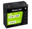 Green Cell CUBE LiFePO4 Batteria 20Ah 12.8V 256Wh LFP al litio 12V per Trattori, Tosaerba e veicoli Elettrici, Sedia a rotelle