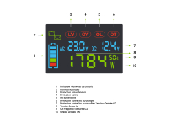 Green Cell® 500W/1000W Invertitore Onda Pura DC 12V AC 230V Convertitore di tensione
